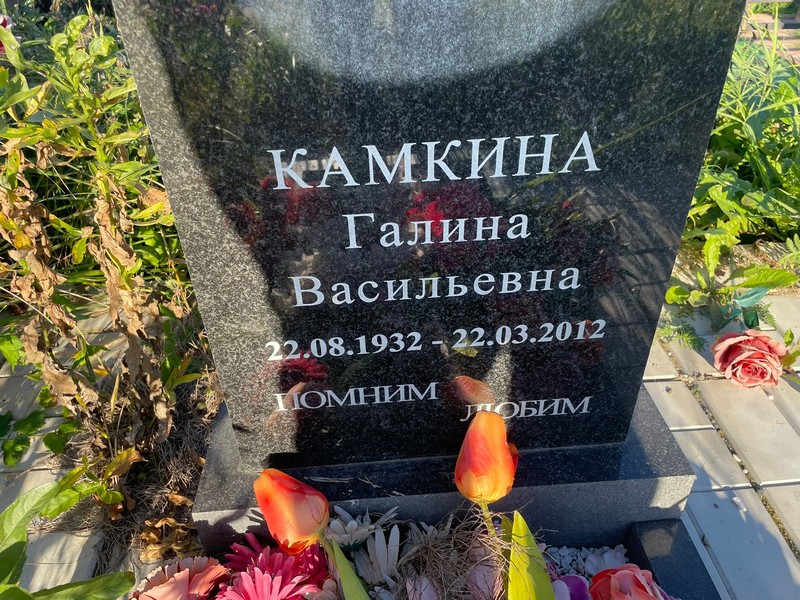 Камкина