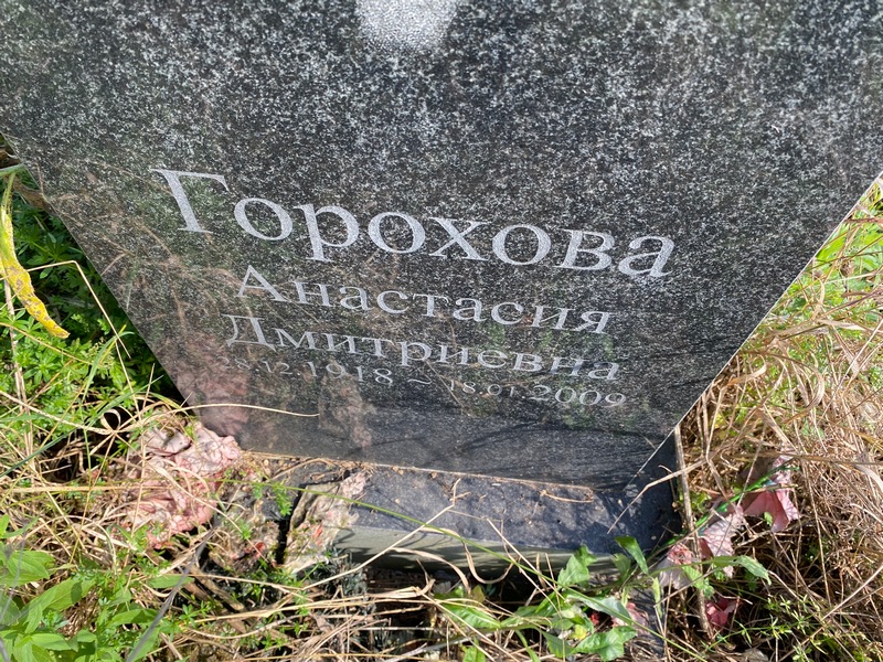 Горохова Анастасия Дмитриевна