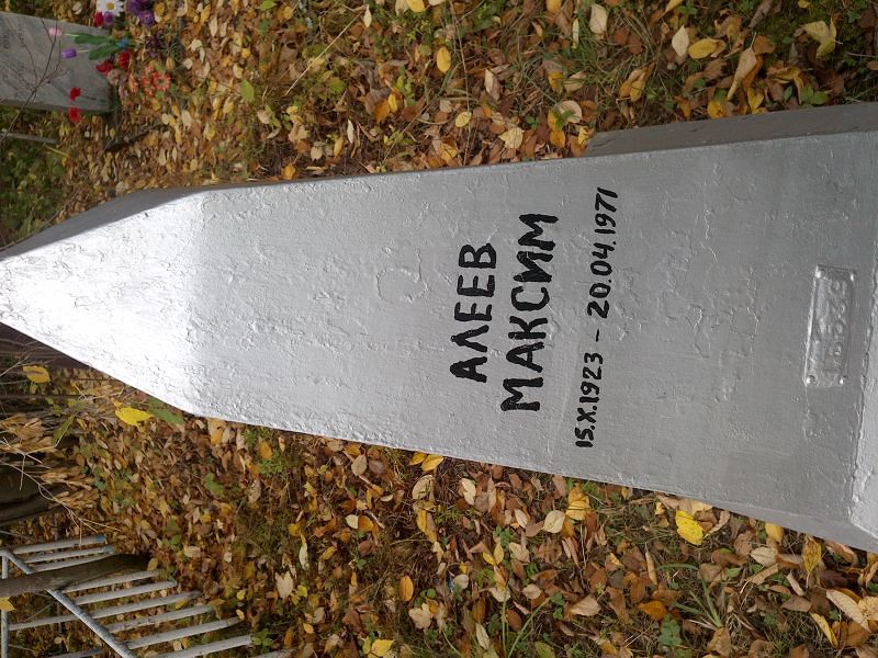 Алеев Алеев