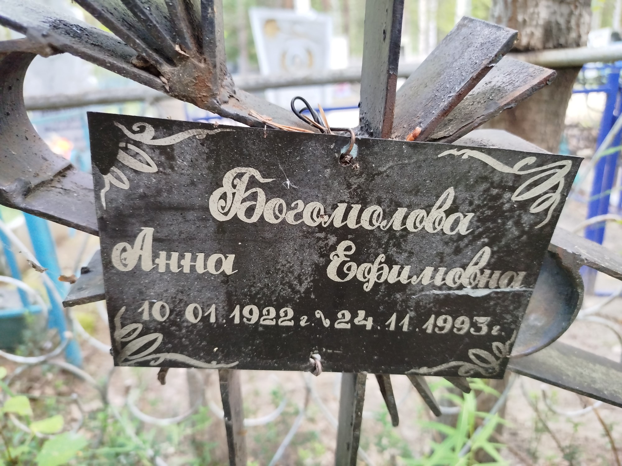Богомолова Анна Ефимовна