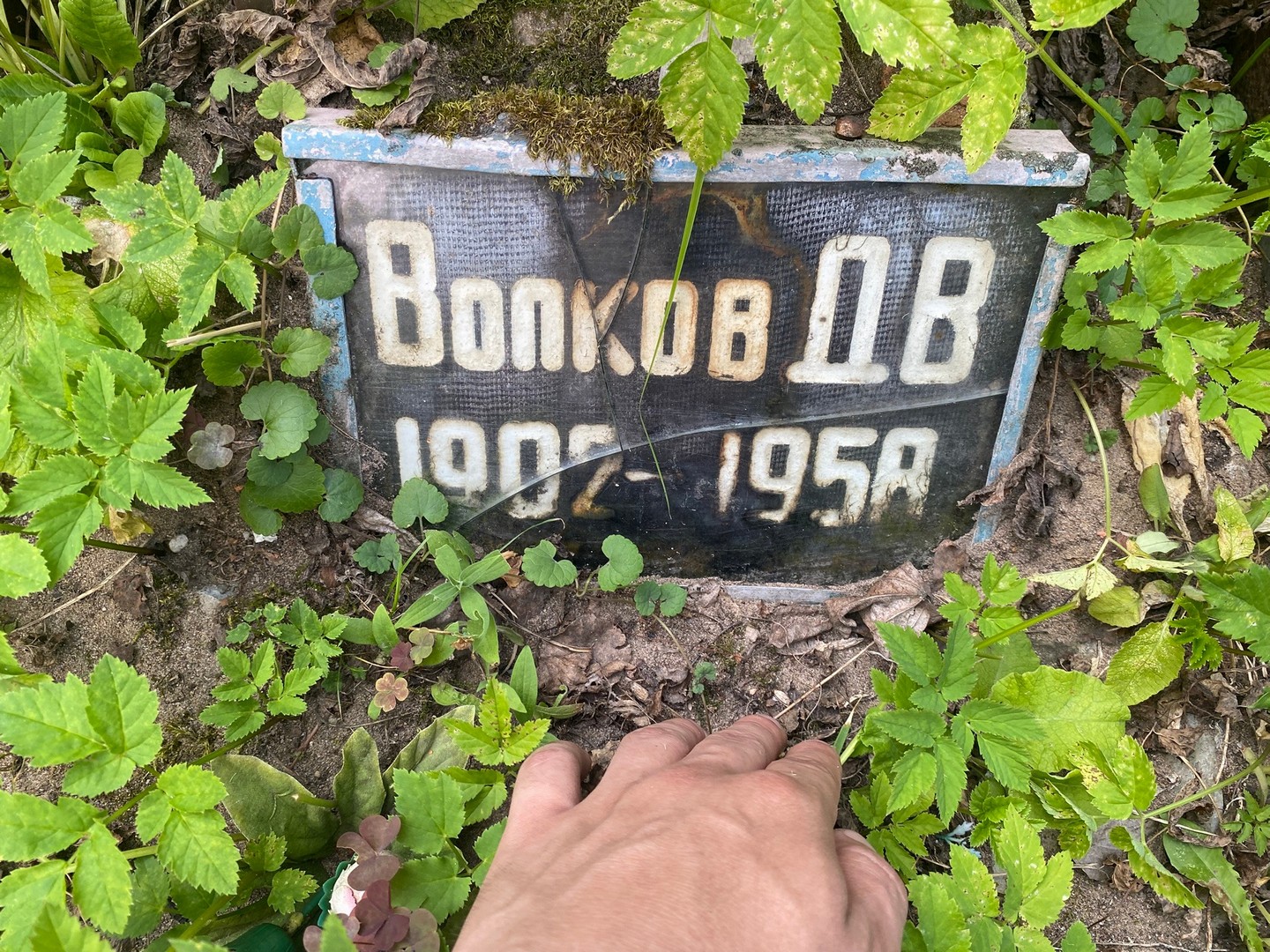 Д Волков В