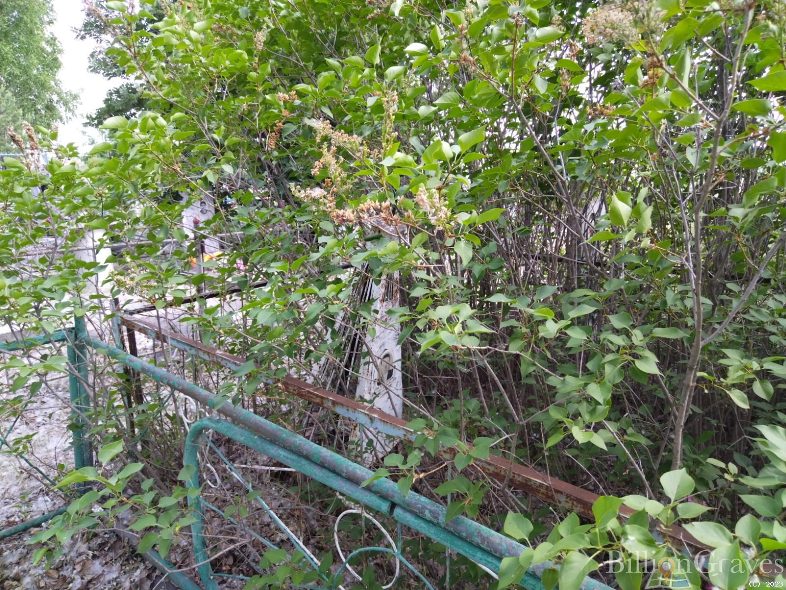 Белозерова Софья Романовна
