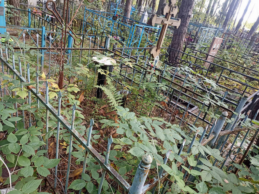 Тюхалкина Дарья Потаповна
