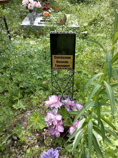 Сайфулин Камиль Ганиевич