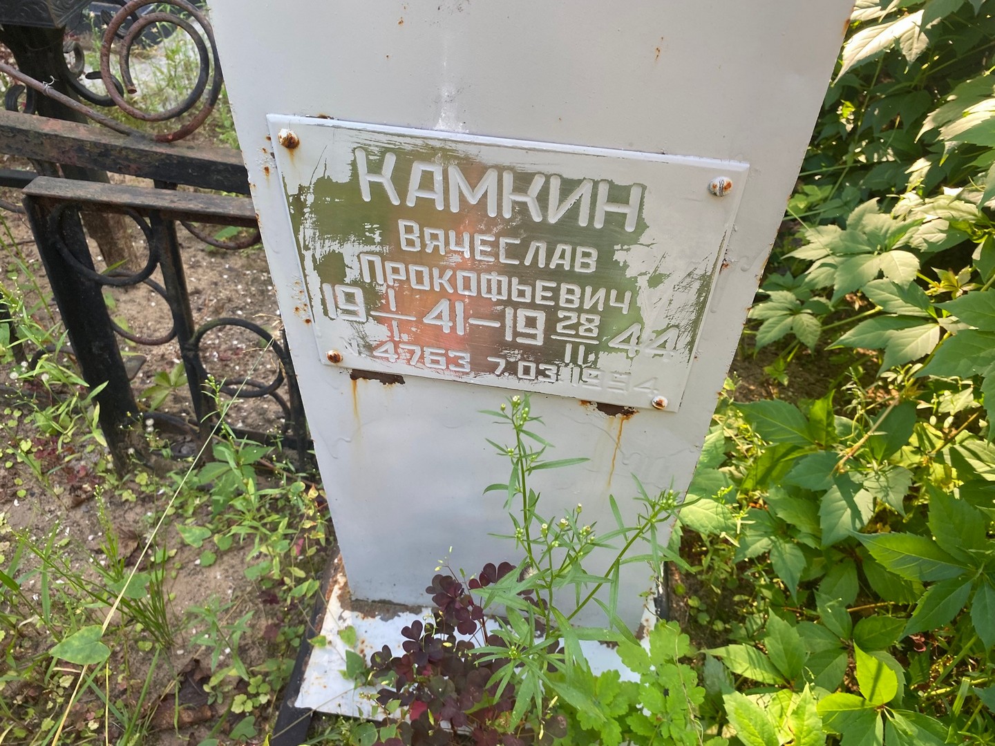 Камкин