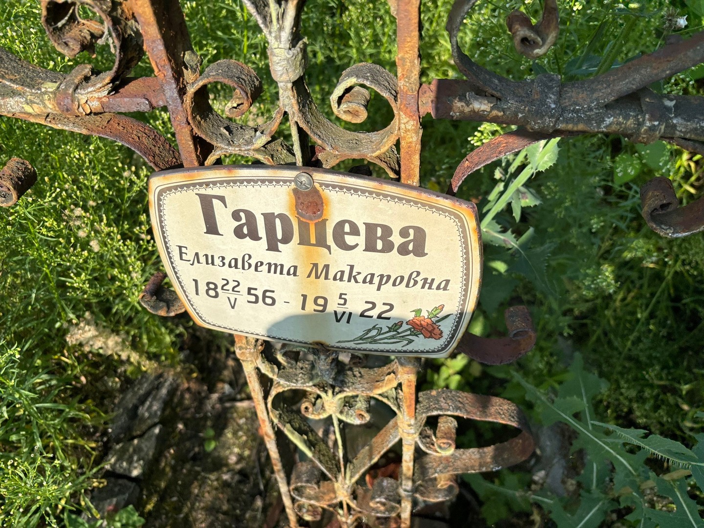 Гарцева