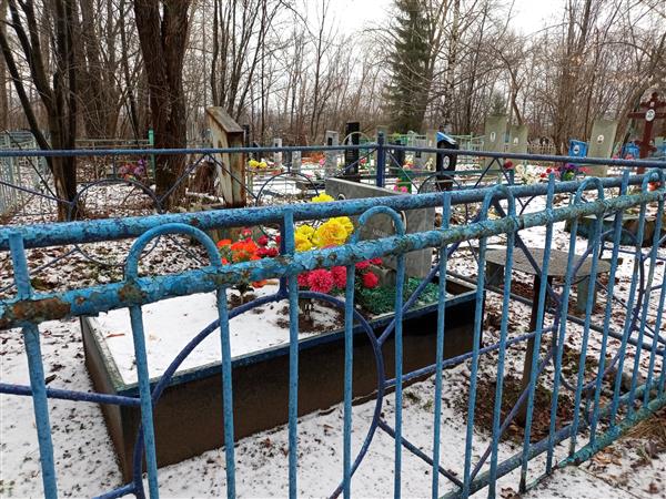 Перевозчиков Геннадий Дмитриевич