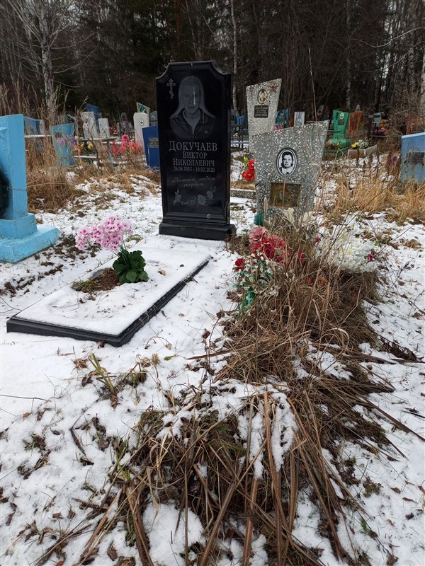 Докучаев Виктор Николаевич