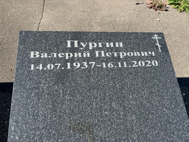 Пургин
