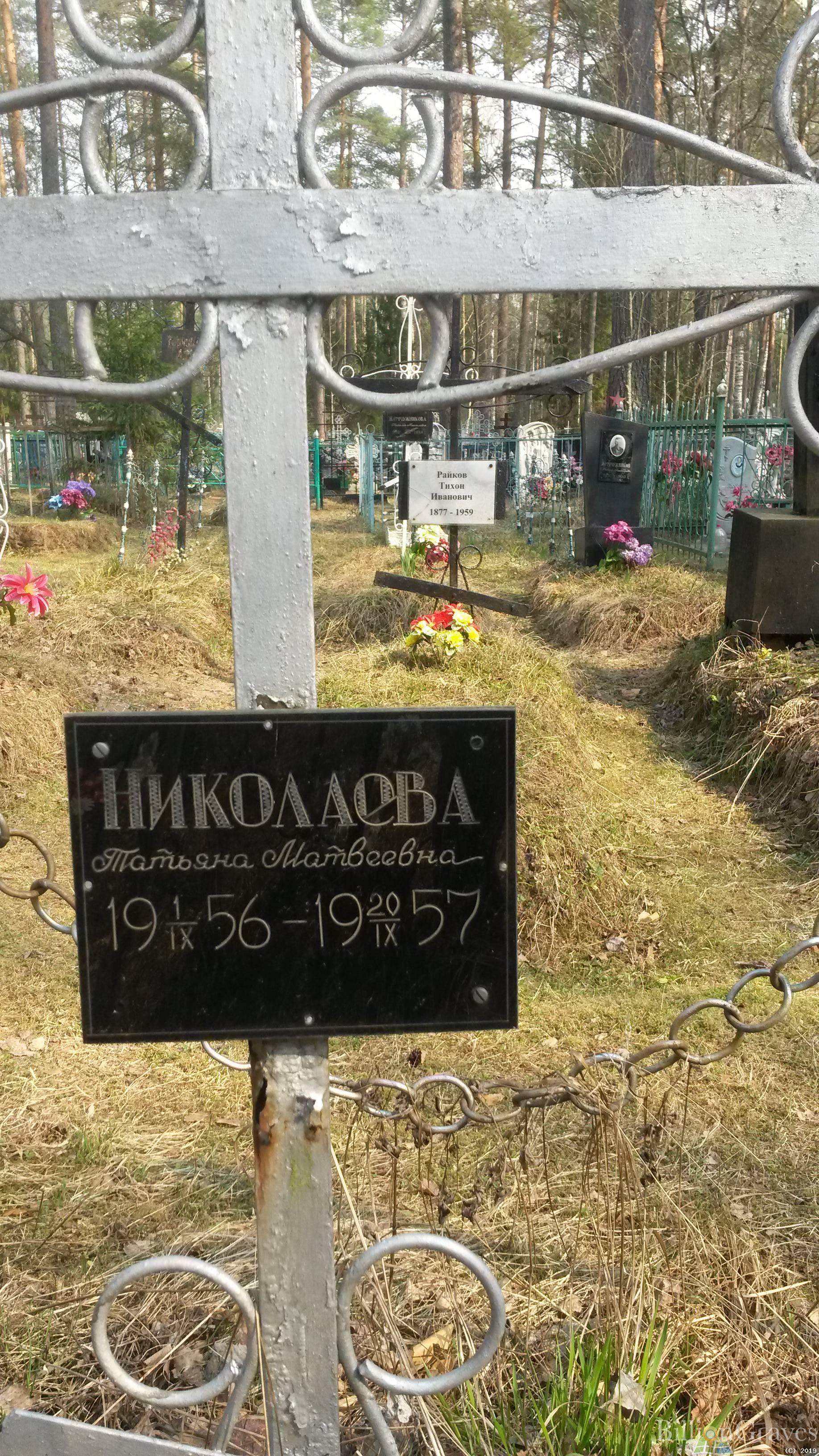 Николаева Татьяна Матвеевна