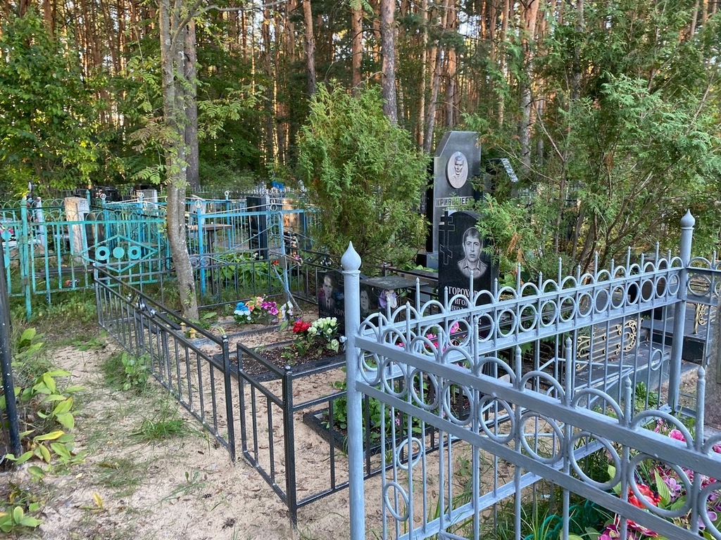 Горохов Игорь Николаевич