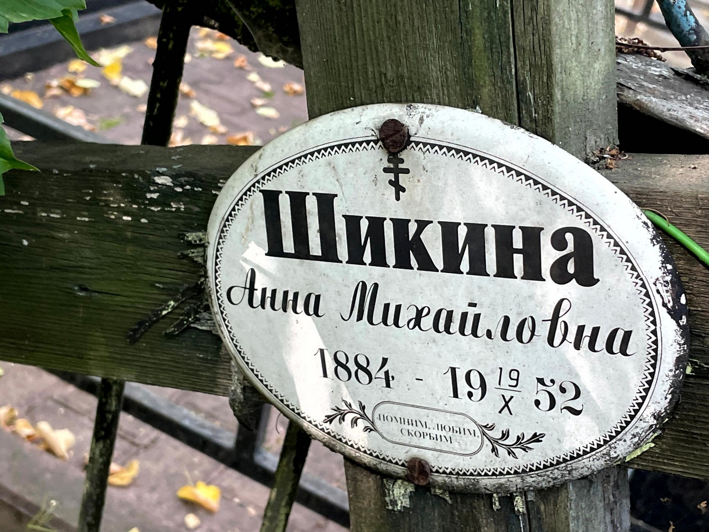 Шикина
