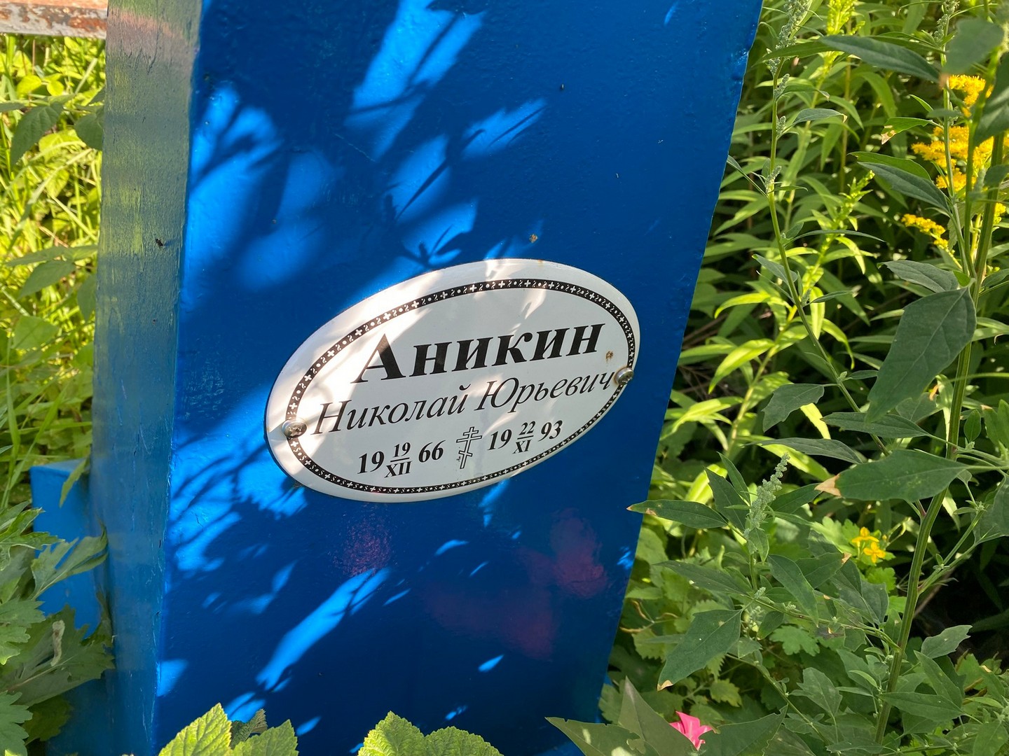 Аникин
