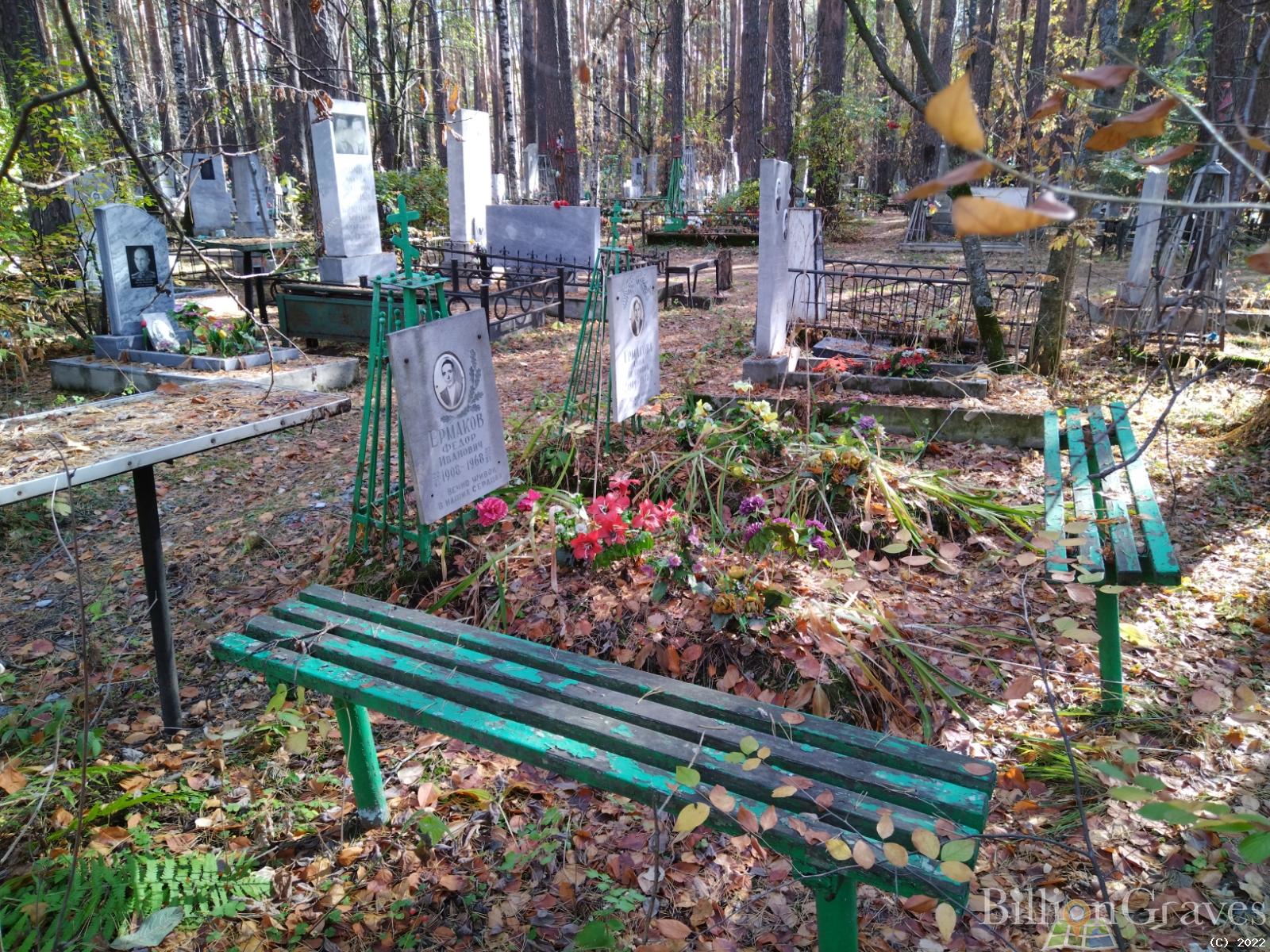 Ермакова Анна Петровна