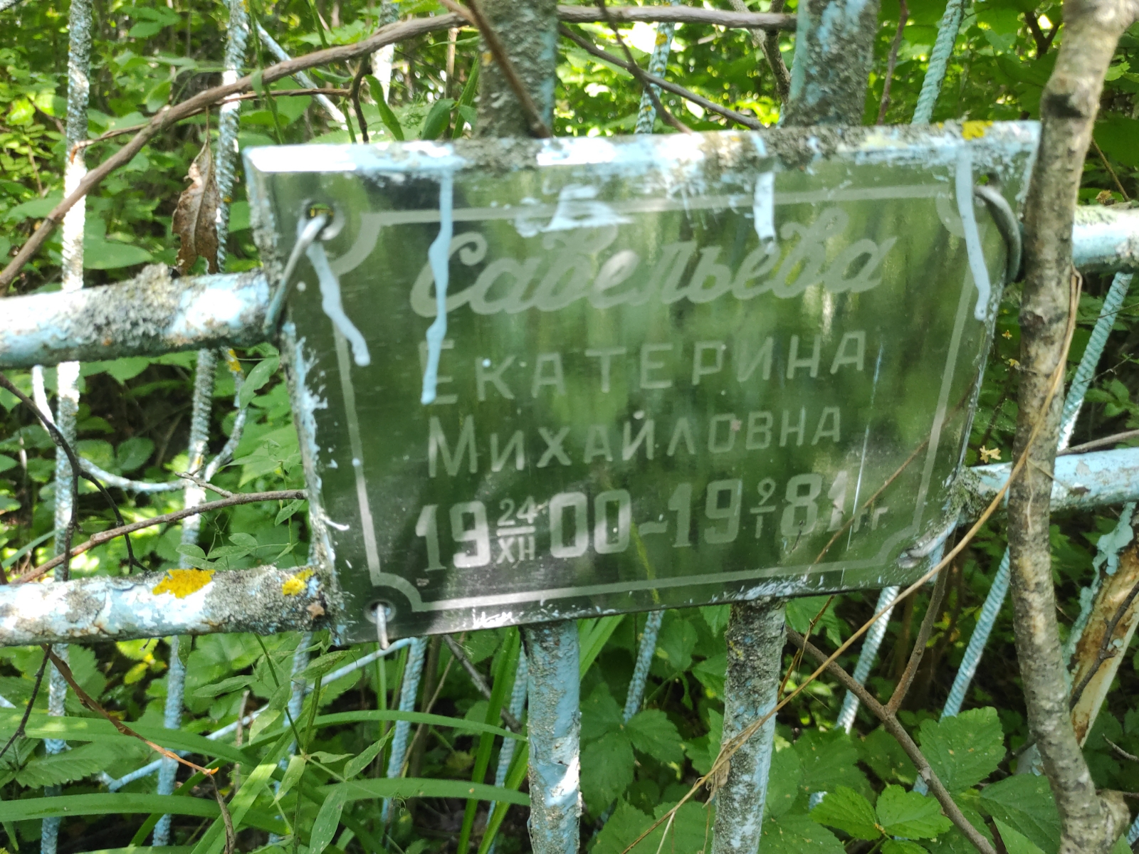 Савельева Екатерина Михайловна