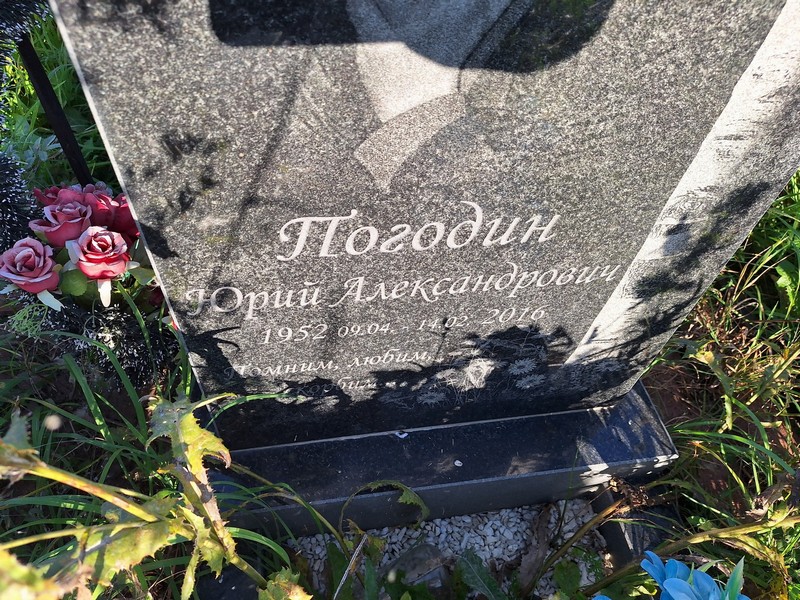 Погодин