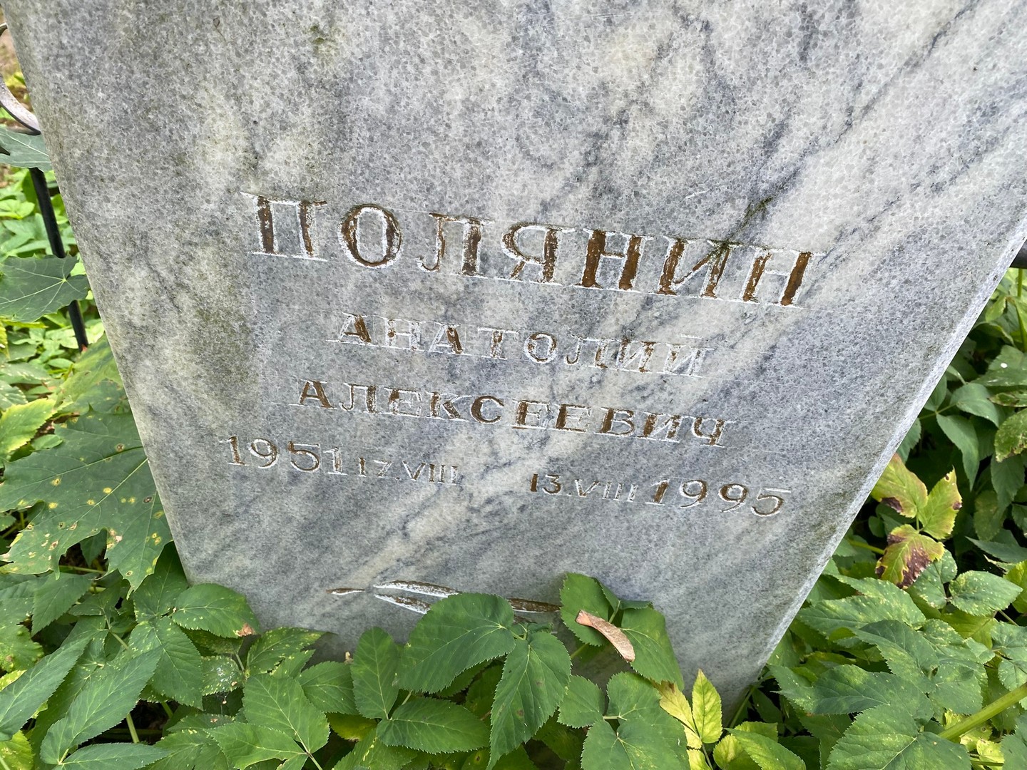 Полянин