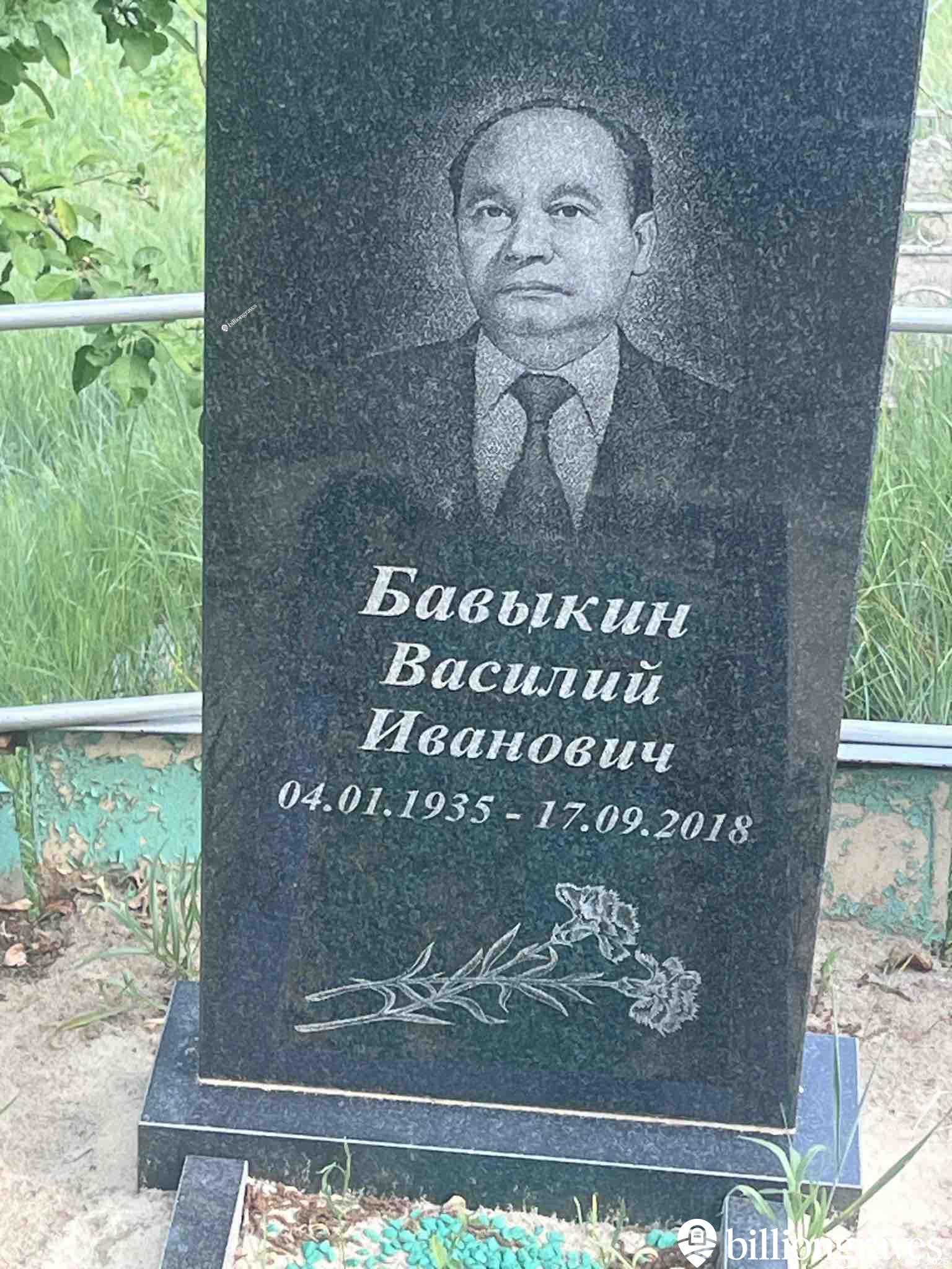 Бавыкин Василий Иванович