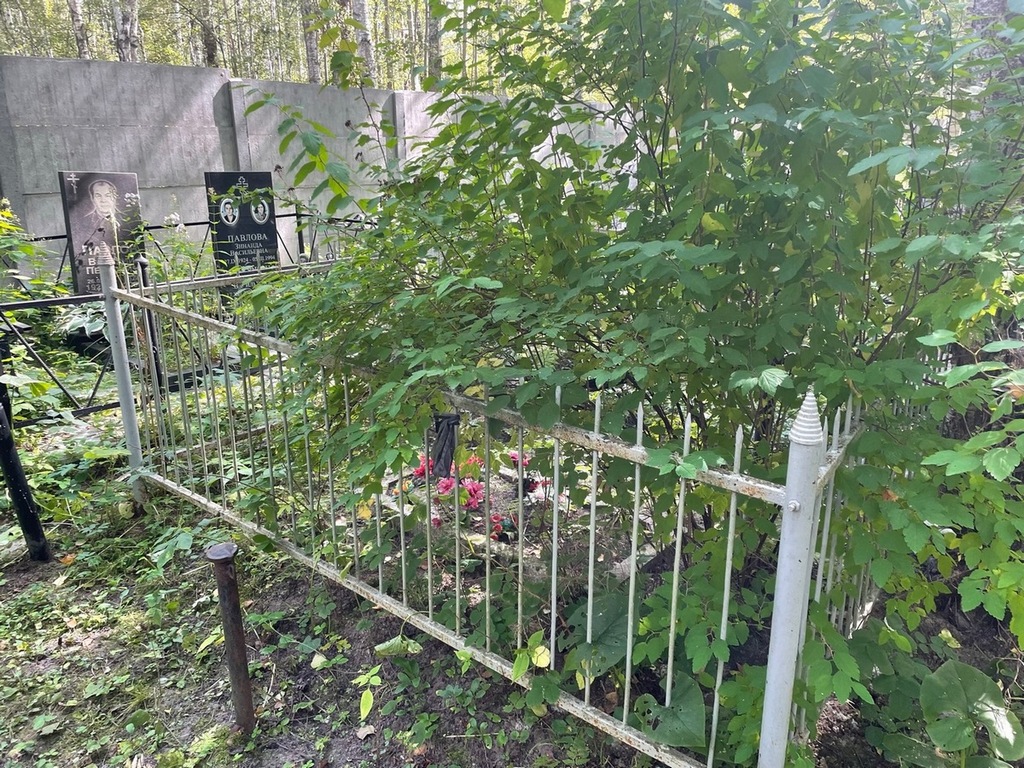 Токаревских Петр Александрович
