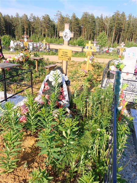 Ваулина Татьяна Викторовна