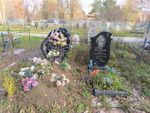 Воловик Аврора Владимировна