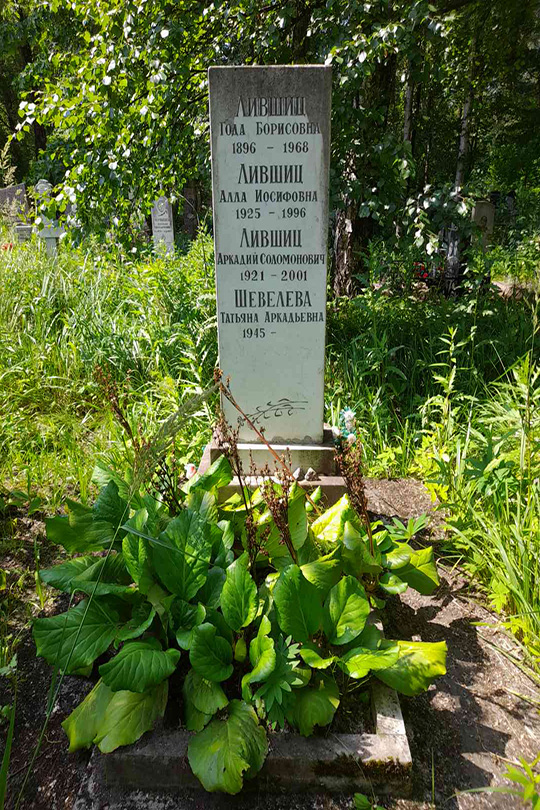 Шевелева Катенька