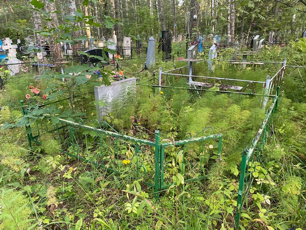 Шляндина Альбина Александровна