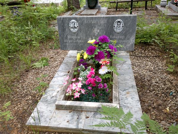 Борисов Виктор Александрович