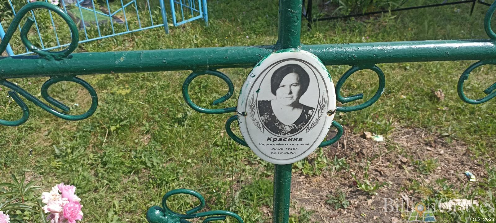 Красина Надежда Александровна