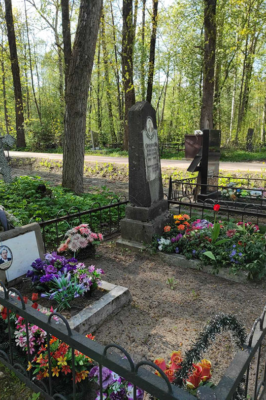 Соловьева Александр Николаевич