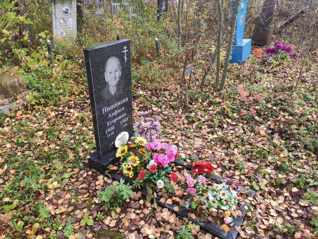 Нишняева Анфиса Егоровна