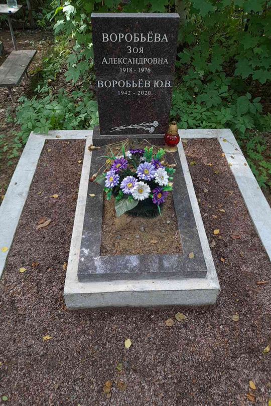 Воробьев Ю. В.