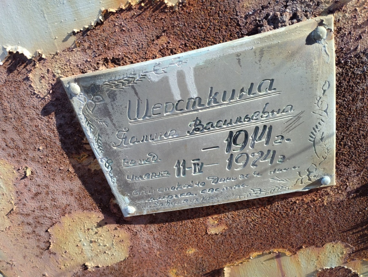 Шерскина Палина Васильевна