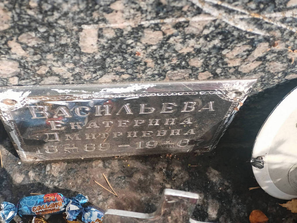 Васильева Екатерина Дмитриевна