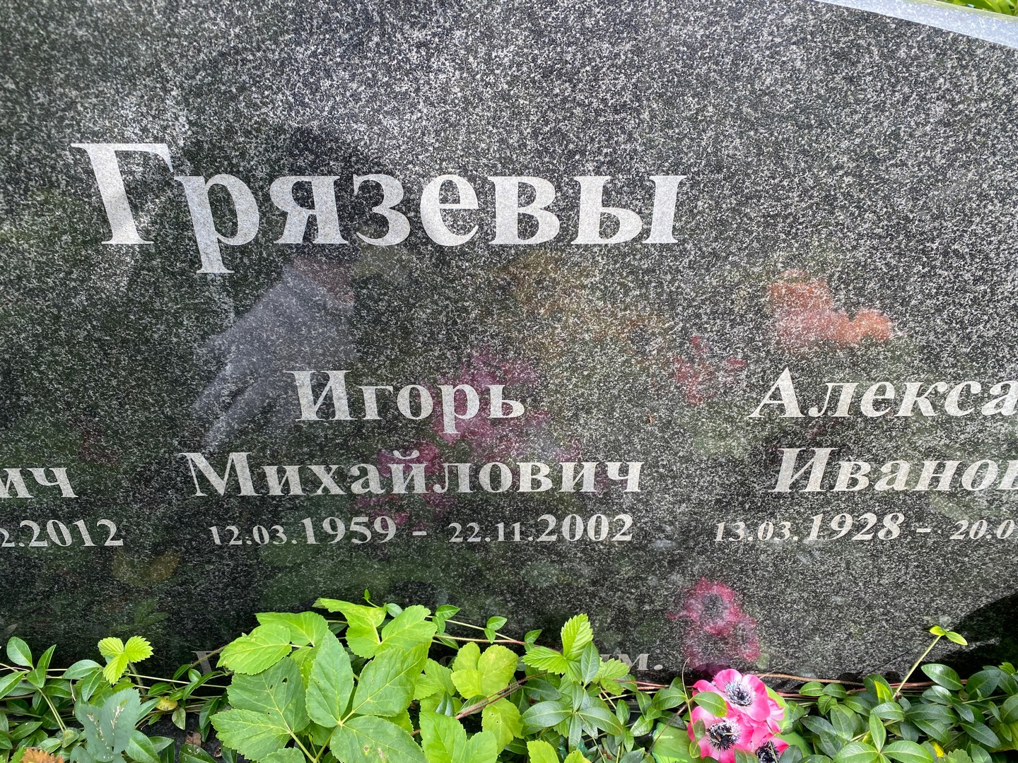 Грязев