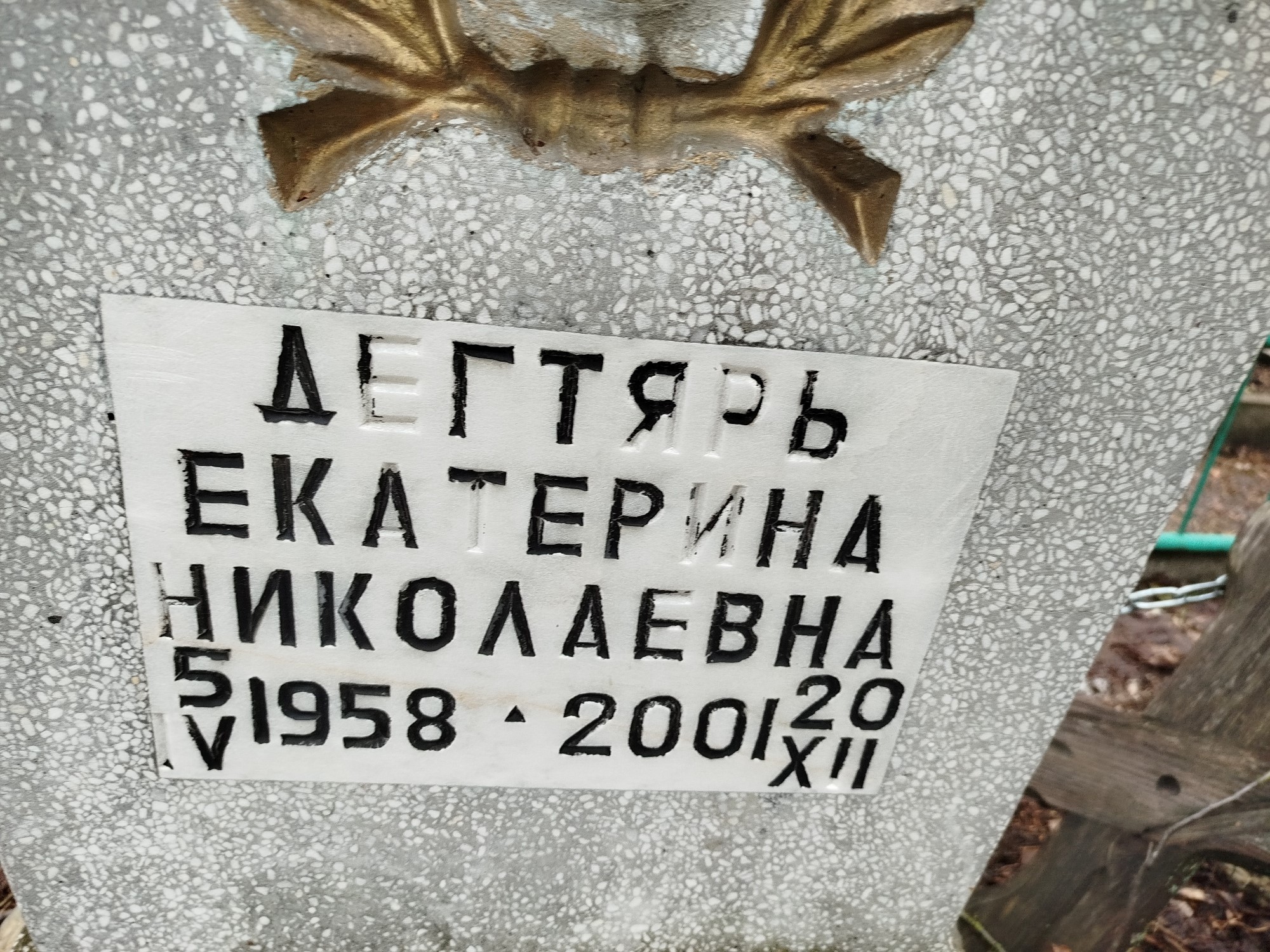 Дегтярь Екатерина Николаевна