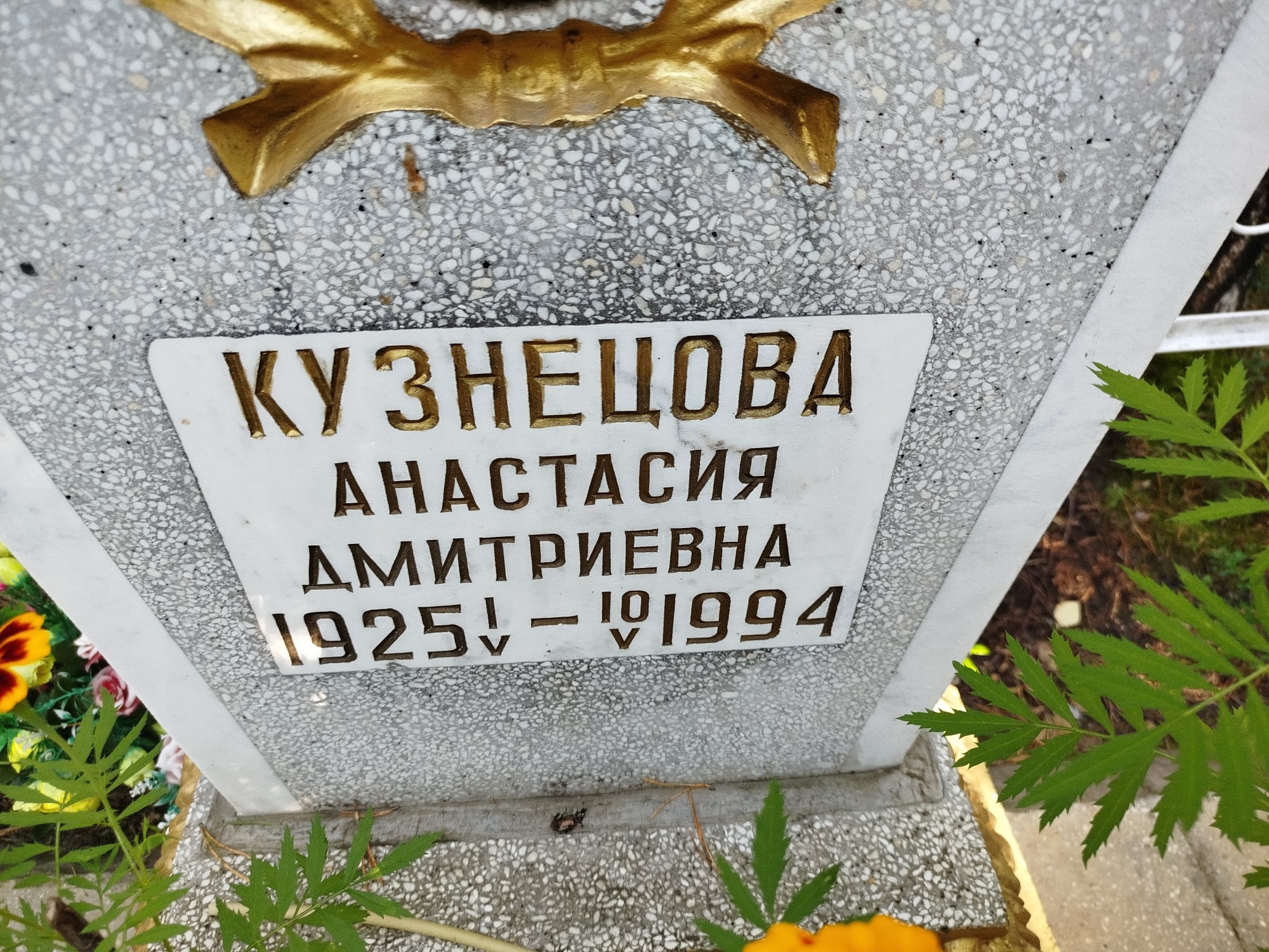 Кузнецова Анастасия Дмитриевна