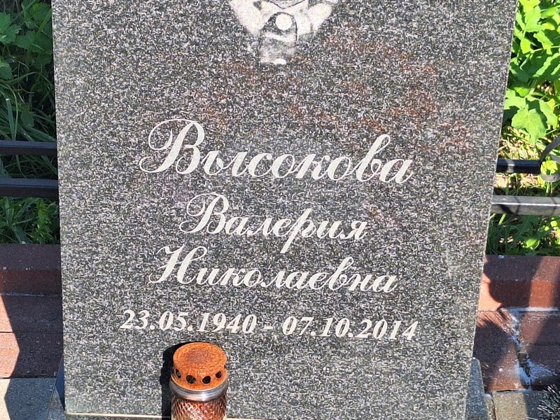 Высокова Валерия Николаевна
