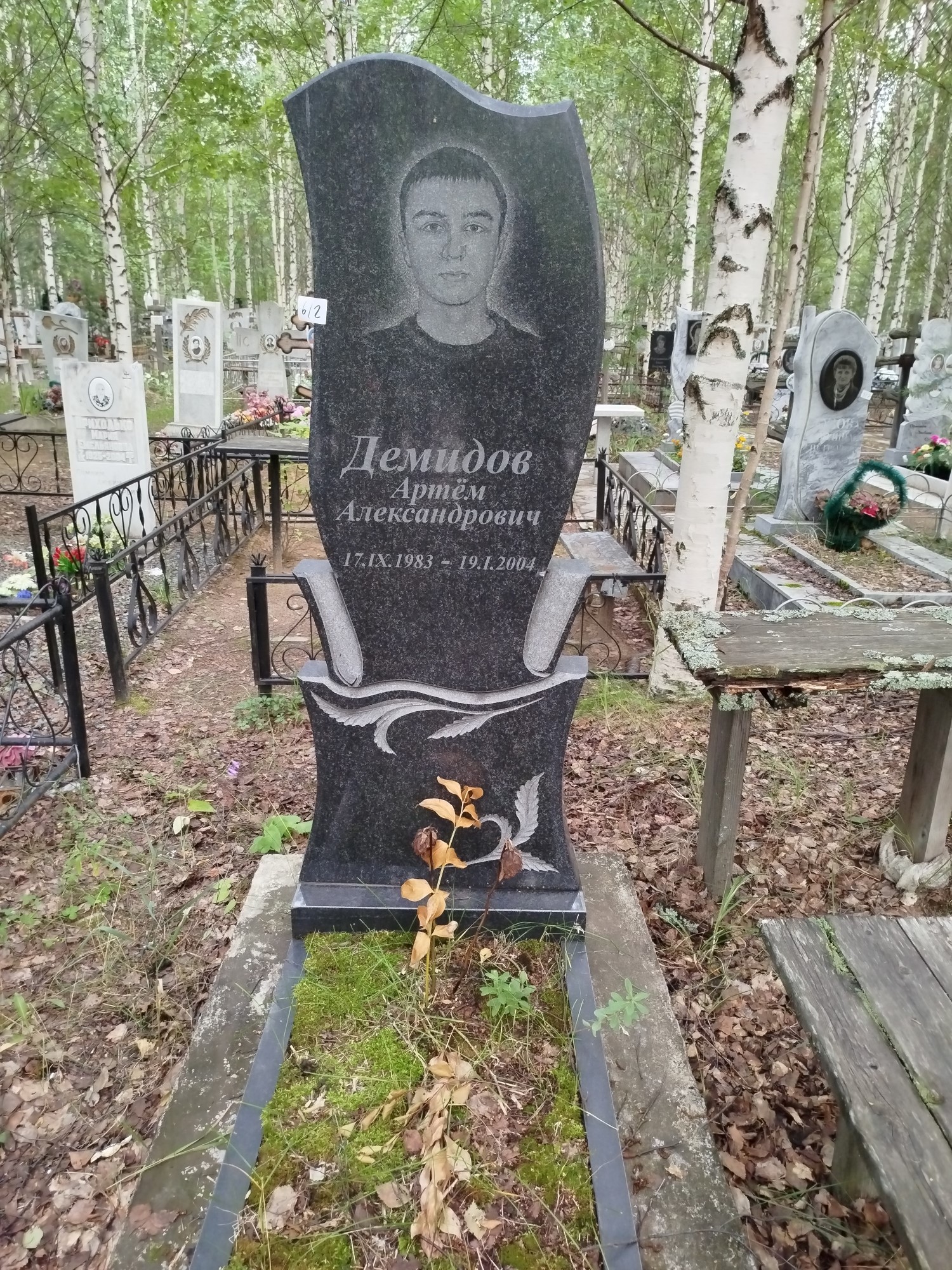 Демидов Артем Александрович