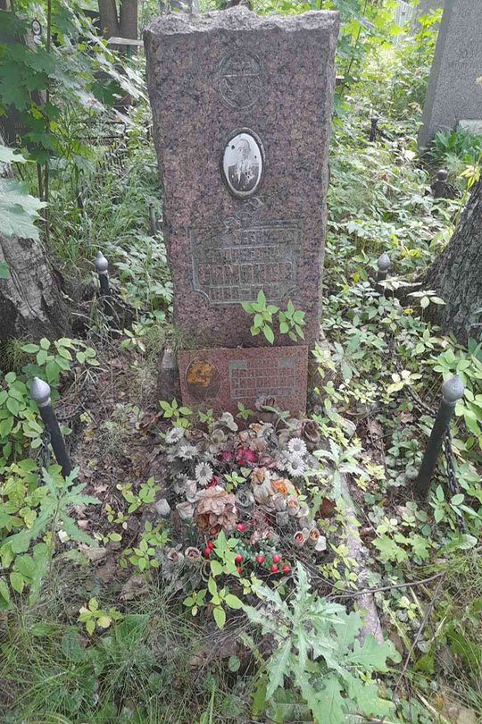 Симонов Всеволод Андреевич