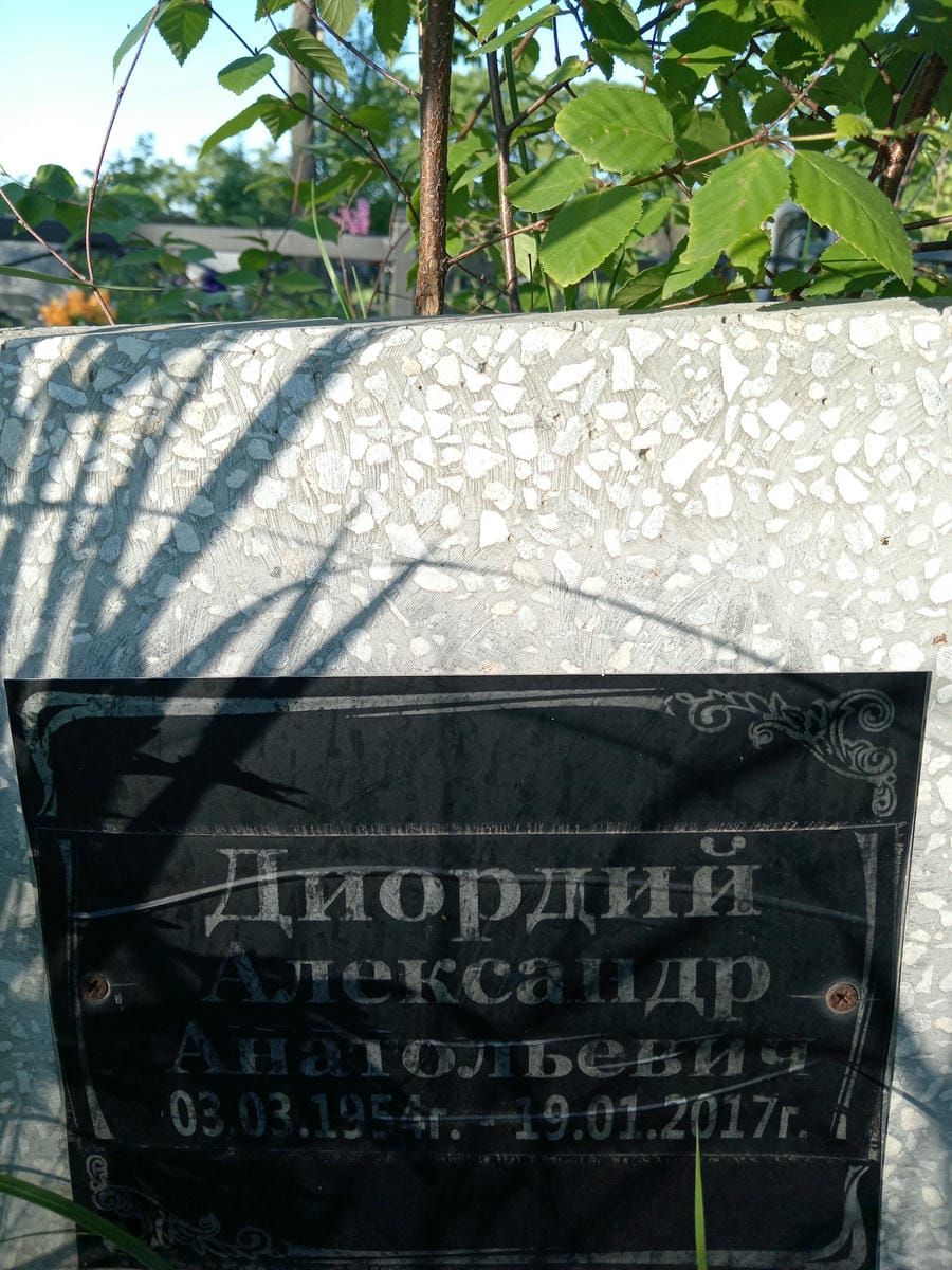 Диордий Александр Анатольевич
