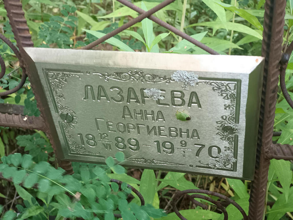 Лазарева Анна Георгиевна