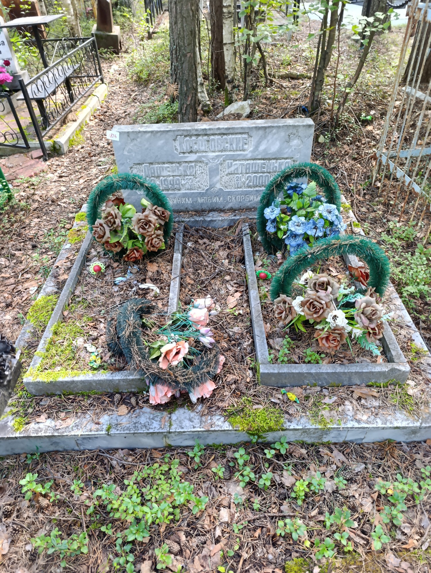 Косоговская Дарья