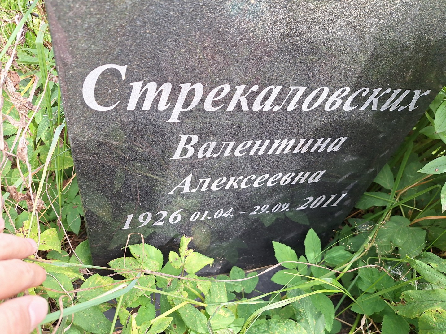 Стрекаловских