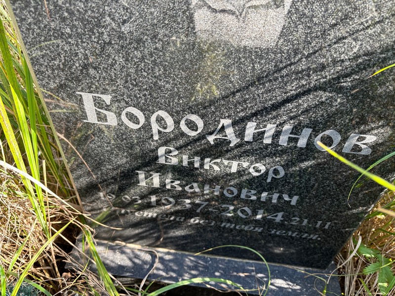 Бородинов