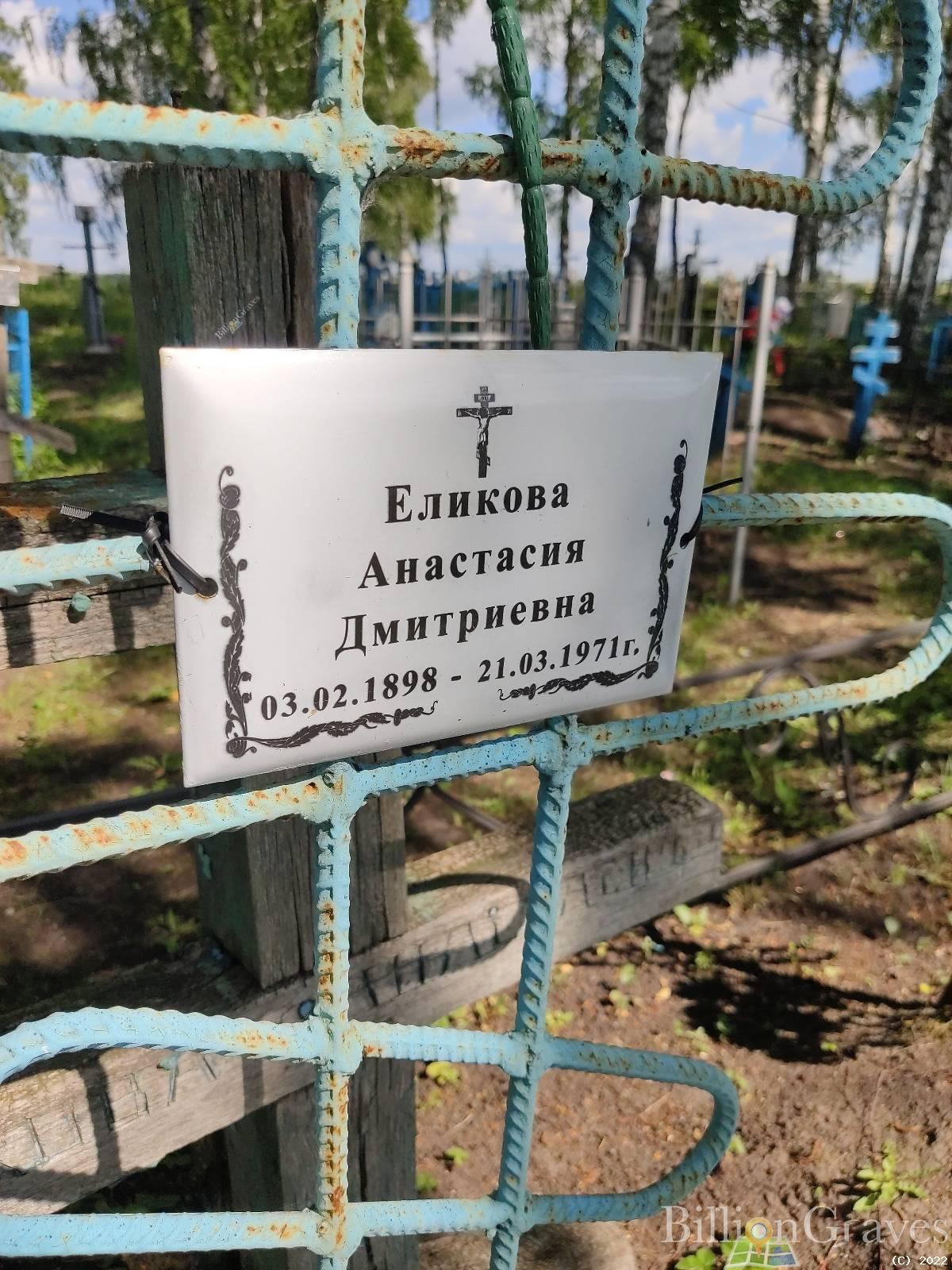 Еликова Анастасия Дмитриевна