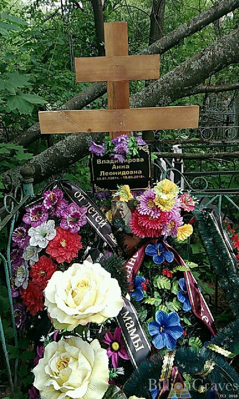 Владимирова Анна Леонидовна