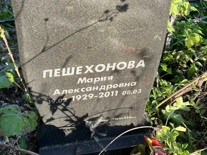 Пешехонова