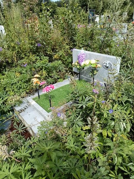 Медведев Александр Николаевич