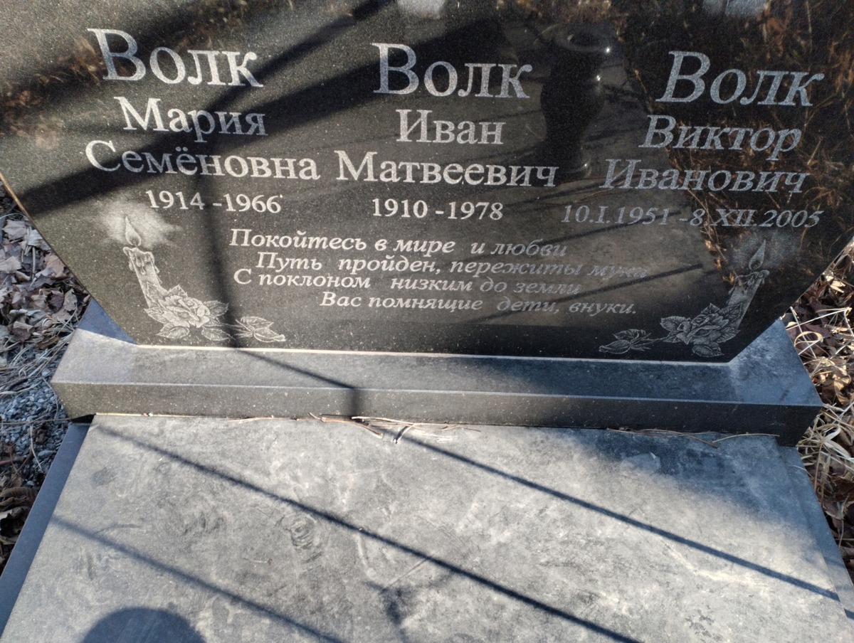Волк Виктор Иванович